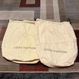 Louis V dustbag